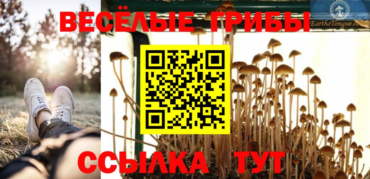 Реж  Псилоцибиновые грибы Psilocybe  Галлюциногенные грибы Cubensis  Вход с VPN 
