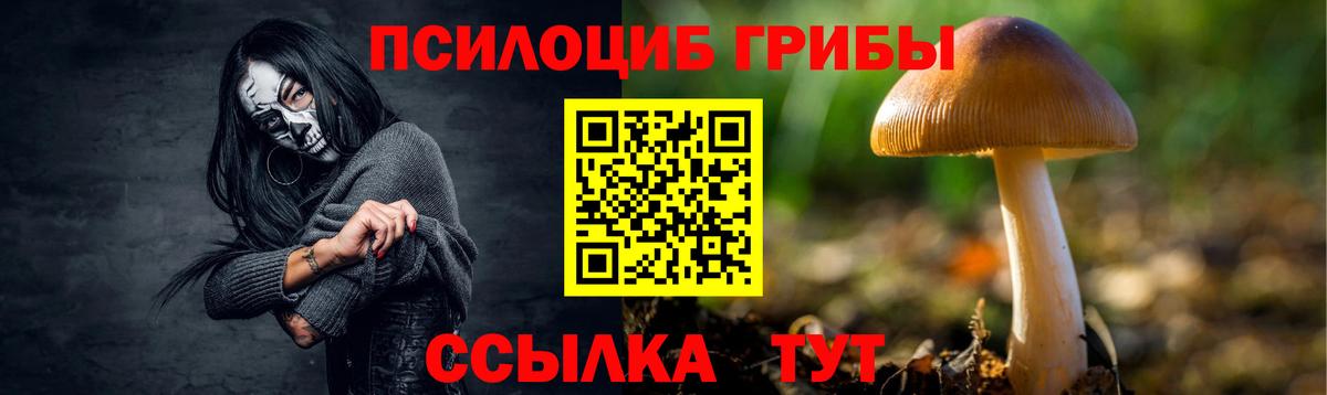 Галлюциногенные грибы Cubensis Реж